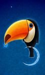 pic for Toucan Bird 